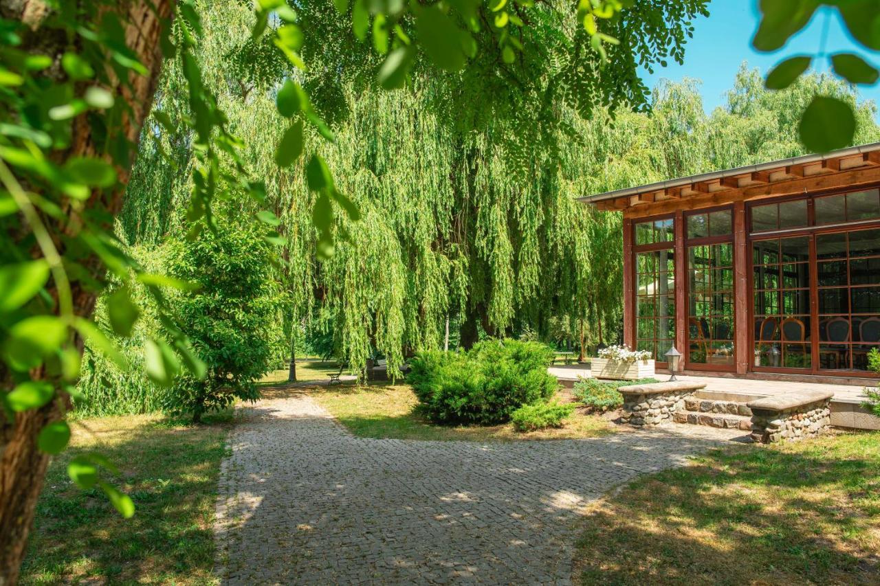 Palac Godetowo Bed & Breakfast